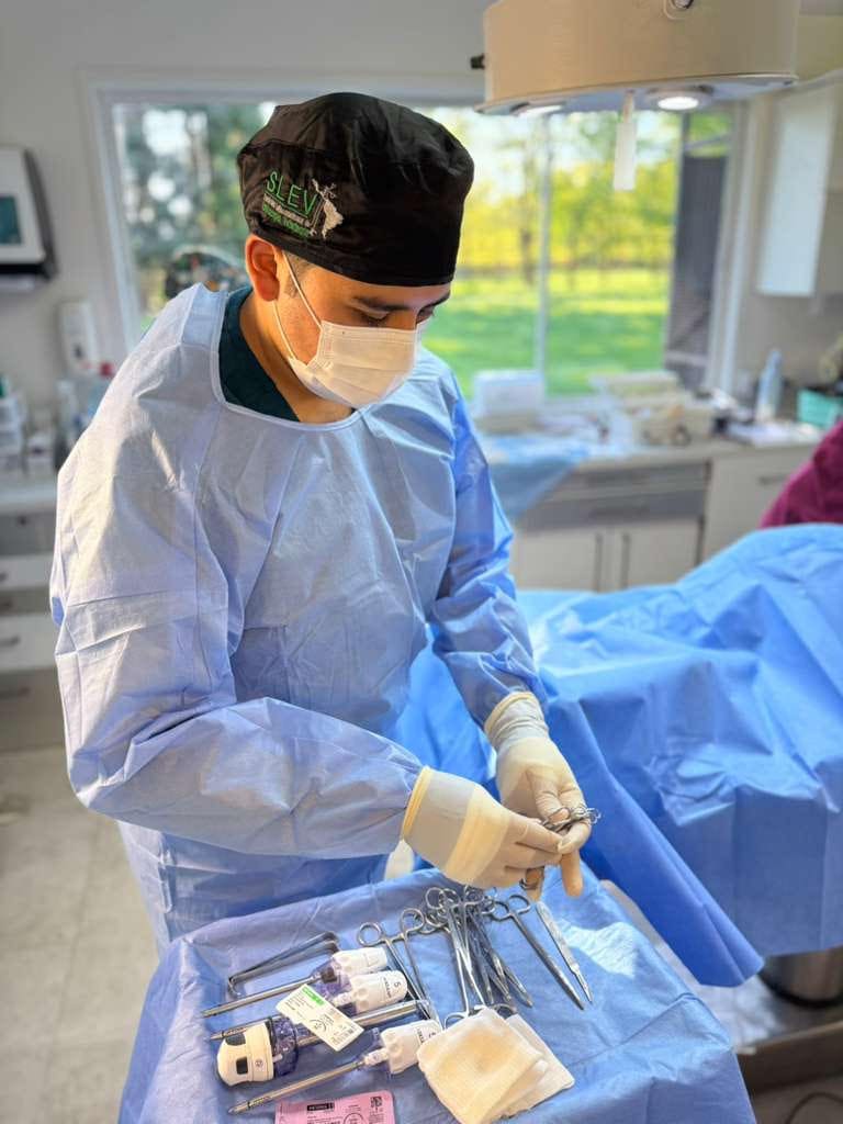 Dr. Mathías Vera, cirujano veterinario realizando cirugía laparoscópica
